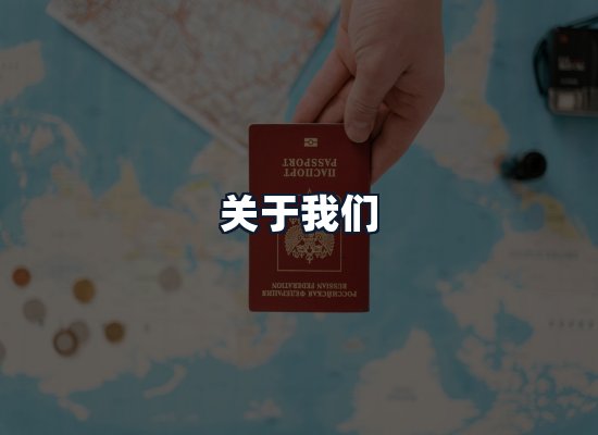 关于我们